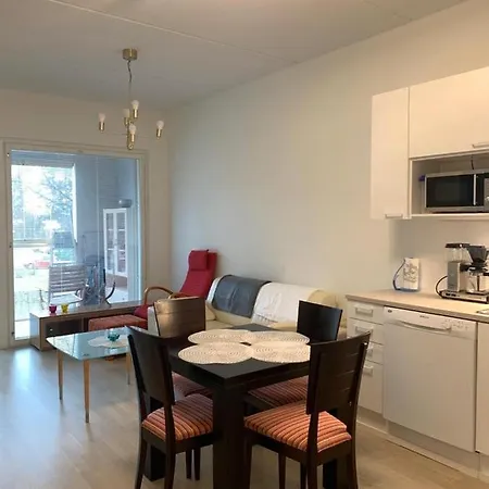 Modern Nearby Airport Apartment